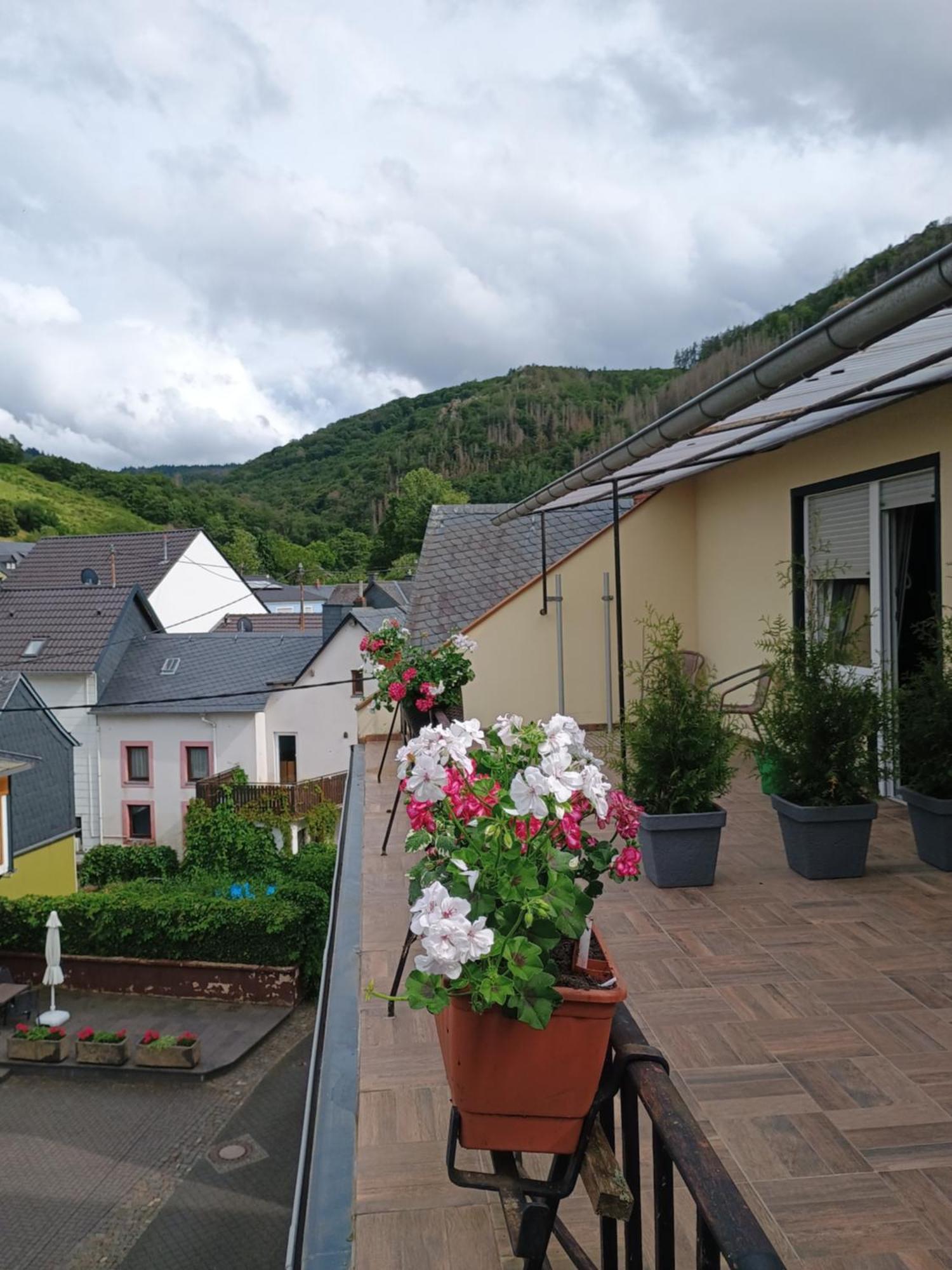 Gasthof Zur Grafschaft Veldenz Esterno foto
